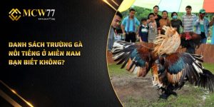 Danh Sách Trường Gà Nổi Tiếng Ở Miền Nam Bạn Biết Không?