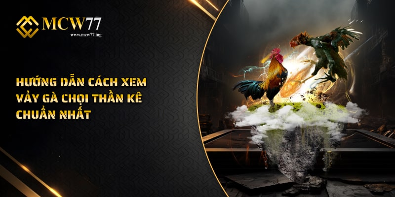 Hướng Dẫn Cách Xem Vảy Gà Chọi Thần Kê Chuẩn Nhất