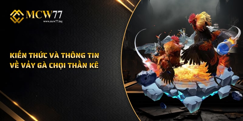 Kiến Thức Và Thông Tin Về Vảy Gà Chọi Thần Kê